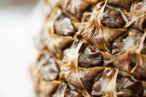 Detail pineapple close up Stock Photos