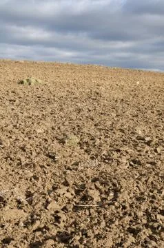 Detail of plowed field pattern Stock Photos