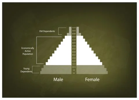 Detail of Population Pyramids Graphs Depend on Age Stock Illustration