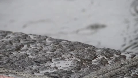 Detail of pouring rain Stock Footage 143963686