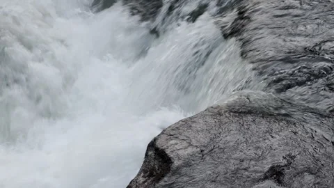 Detail rapids in a mountain river Stock Footage 248550163