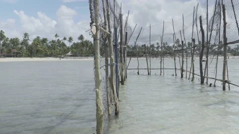 Detail of a rustic structure (made of wood and plastic mesh) of a fishing corral Stock Footage 233191207