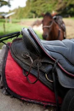 Detail of saddle Stock Photos
