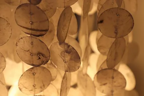 Detail of a shell lamp Foto stock