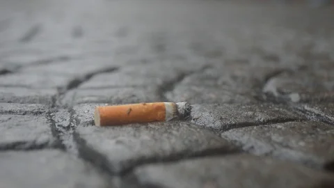 smoking cigarettes from the ground Cigarette on the ground | Stock Video