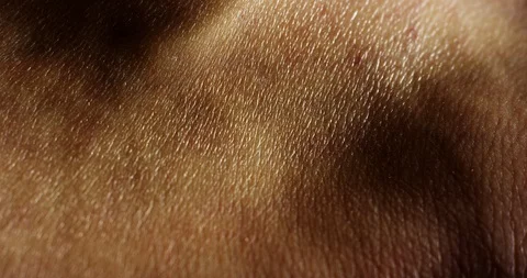 Detail of skin with pulsating carotid artery, moving in the breathing rhythm, 4k Stock Footage 107335818