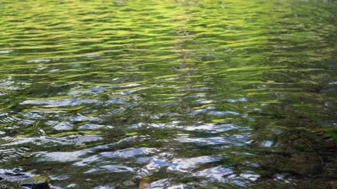 Detail of a slow flowing mountain stream. Stock Footage 166242542