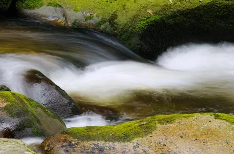 Detail of small beautiful cascade between mossy stones. Foto stock