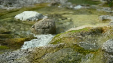 Detail of a small stream in the mountains with clear and clean water Stock Footage 211475289