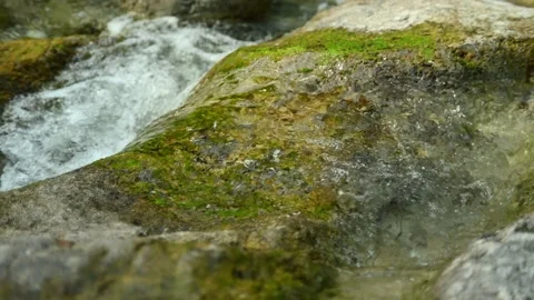 Detail of a small stream in the mountains with clear and clean water Stock Footage 211475501