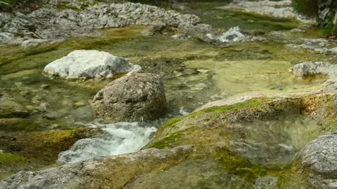 Detail of a small stream in the mountains with clear and clean water Stock Footage 211476834