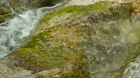 Detail of a small stream in the mountains with clear and clean water Stock Footage 211477293
