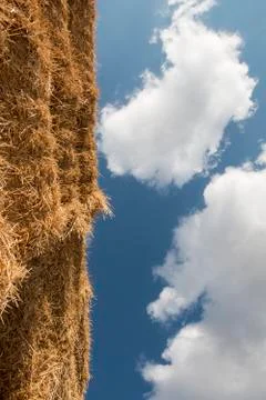 Detail stack straw at field after harvest Stock Photos