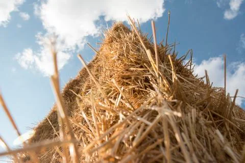 Detail stack straw at field after harvest Stock Photos