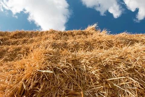 Detail stack straw at field after harvest Stock Photos