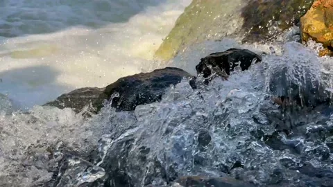Detail Static Shot of Babbling Creek with Stone Boulders Flowing Stock Footage 152582500