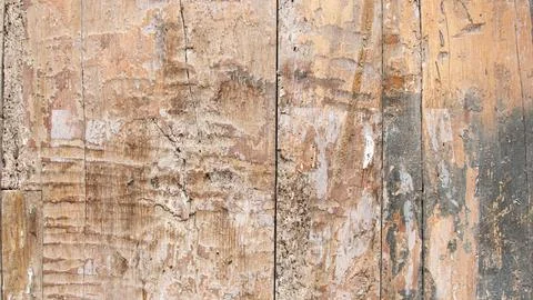 Detail of the texture of a wall made of wood Stock Photos