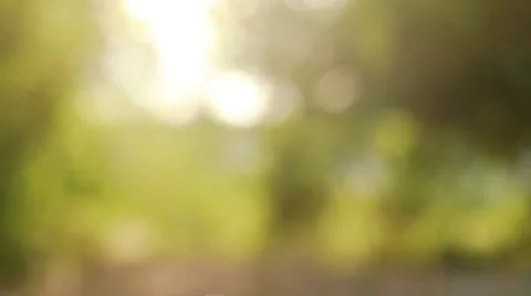 Detail of two lovers joining hands Stock Footage 65255118