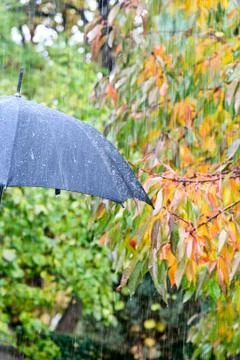 Detail of umbrella Stock Photos