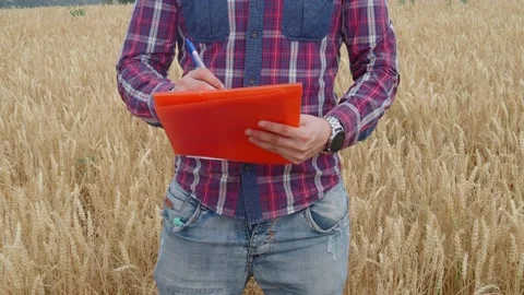 Detail of an unrecognizable farmer writing in a folder analyzing the harvest Stock Footage 224482970