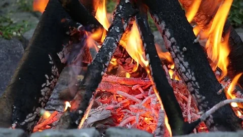 Detail view of the fire with hot coals and burning wooden logs Stock Footage 76564568