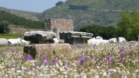 Detail view of historical objects in the ancient city of Asklepion Stock-Footage 250941339
