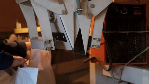 Detail view of process of packing grain in bags 스톡 동영상 98126288