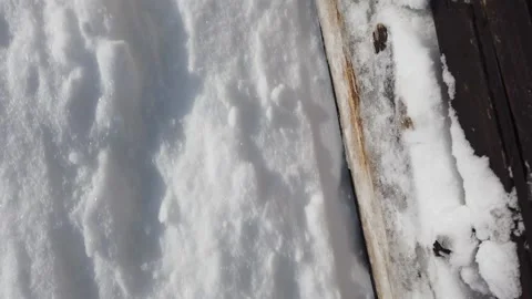 Detail view of a sled gliding fast on the ice. Mushing with huskies. Video stock 201594630