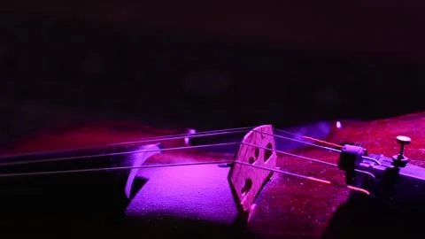 Detail of violin - Close-up. After performance. Slider camera movement. Video stock 135325976