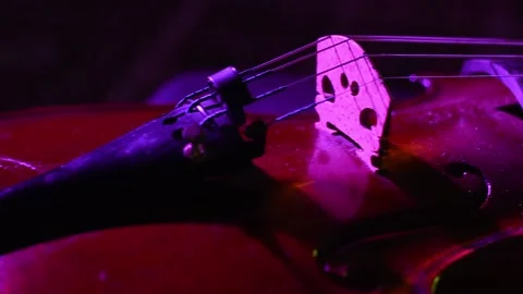 Detail of violin - Close-up. Slider camera movement. Video stock 135325975