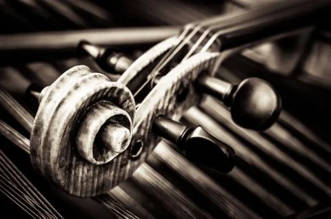 Detail of violin head with string background Stock Photos