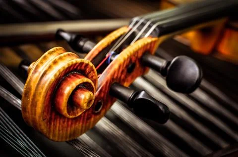 Detail of violin head with string background Stock Photos