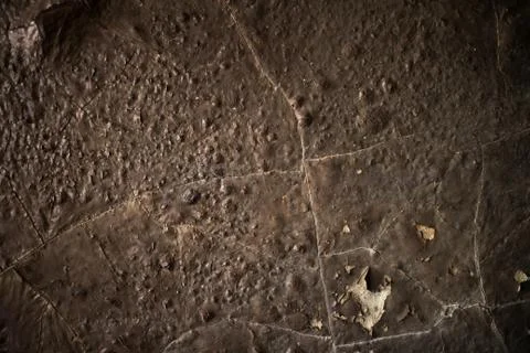 Detail of a wall destroyed by fire Stock Photos