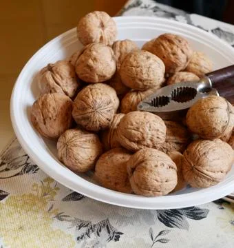 Detail of wallnut Stock Photos