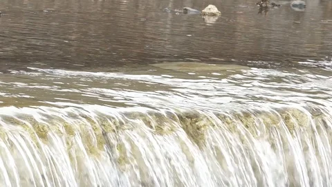 Detail of a waterfall in a river. Stock Footage 95779753