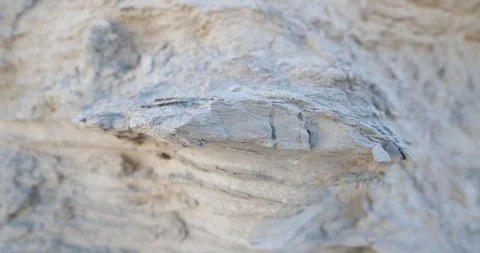 Detail of white layer sandstone. Camera showing macro image Vidéo 96360907