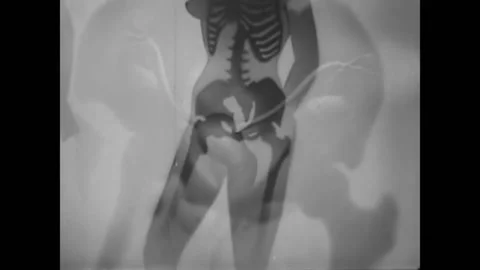 Detail of a woman's reproductive system in a 1949 sex education film. Stock Footage