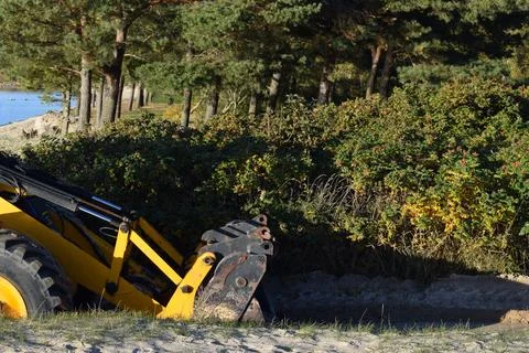 Detail of Yellow Backhoe Loader Working on Sand in a Public Park Stock-Fotos