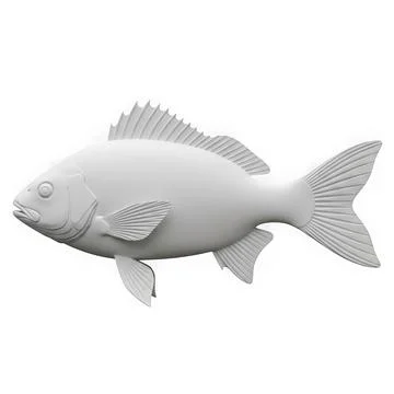 A detailed 3d rendering of a fish showcasing its intricate body structure a.. Stock Illustration