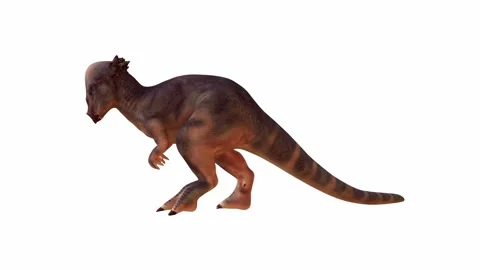 Detailed 3D rendering of a Pachycephalosaurus on White Isolated Background Stock Footage 275154506