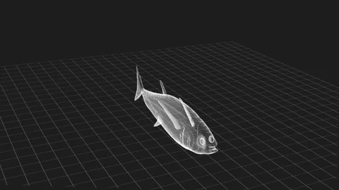 Detailed 3D Wireframe Model of a Fish in Grayscale Mesh Perspective Stockbeeldmateriaal 343863085