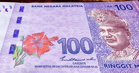 Detailed 4k macro close up capture of 100 Ringgit Malaysia Stock Footage 131352266