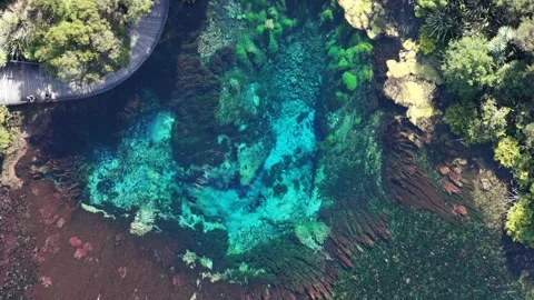 A detailed aerial top-down perspective of a natural spring system on New Stock Footage 334468463
