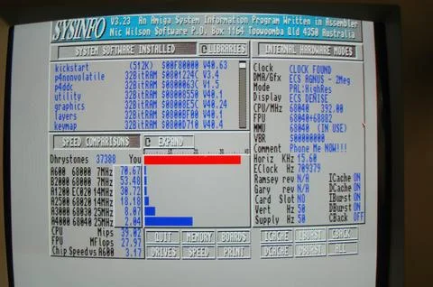 Detailed Analysis of System Software and Performance Metrics 스톡 사진