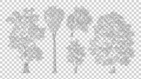 Detailed architectural tree set in elevation view isolated on transparent Stock Illustration