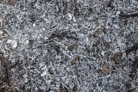 Detailed ash texture after the forest fire, top view. Fotos Stock