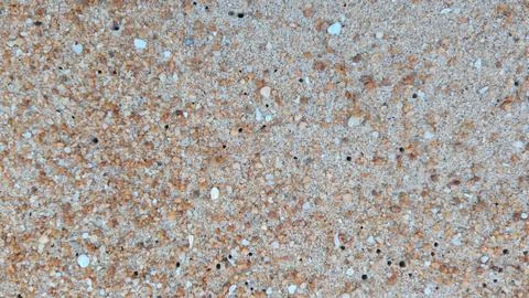 Detailed Beach Sand Texture with Shell Fragments and Natural Coastal Backgrou Фото