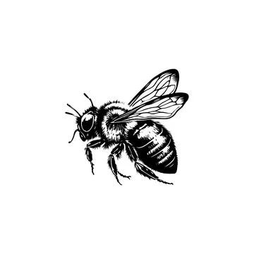 Detailed Bee Silhouette. Vector icon. Stock Illustration