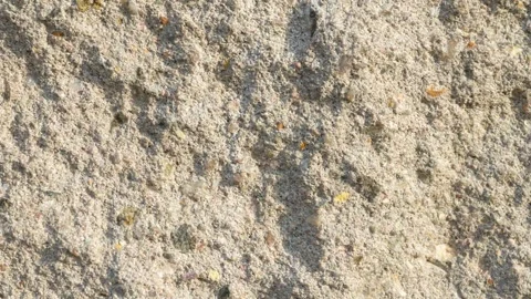Detailed beige stucco plaster wall texture loop in 4k ultra hd resolution Stock Footage 346778642