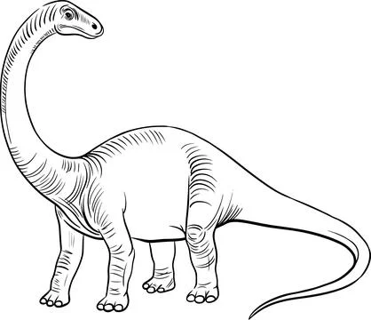Detailed black and white vector drawing of Diplodocus dinosaur . Stock Illustration